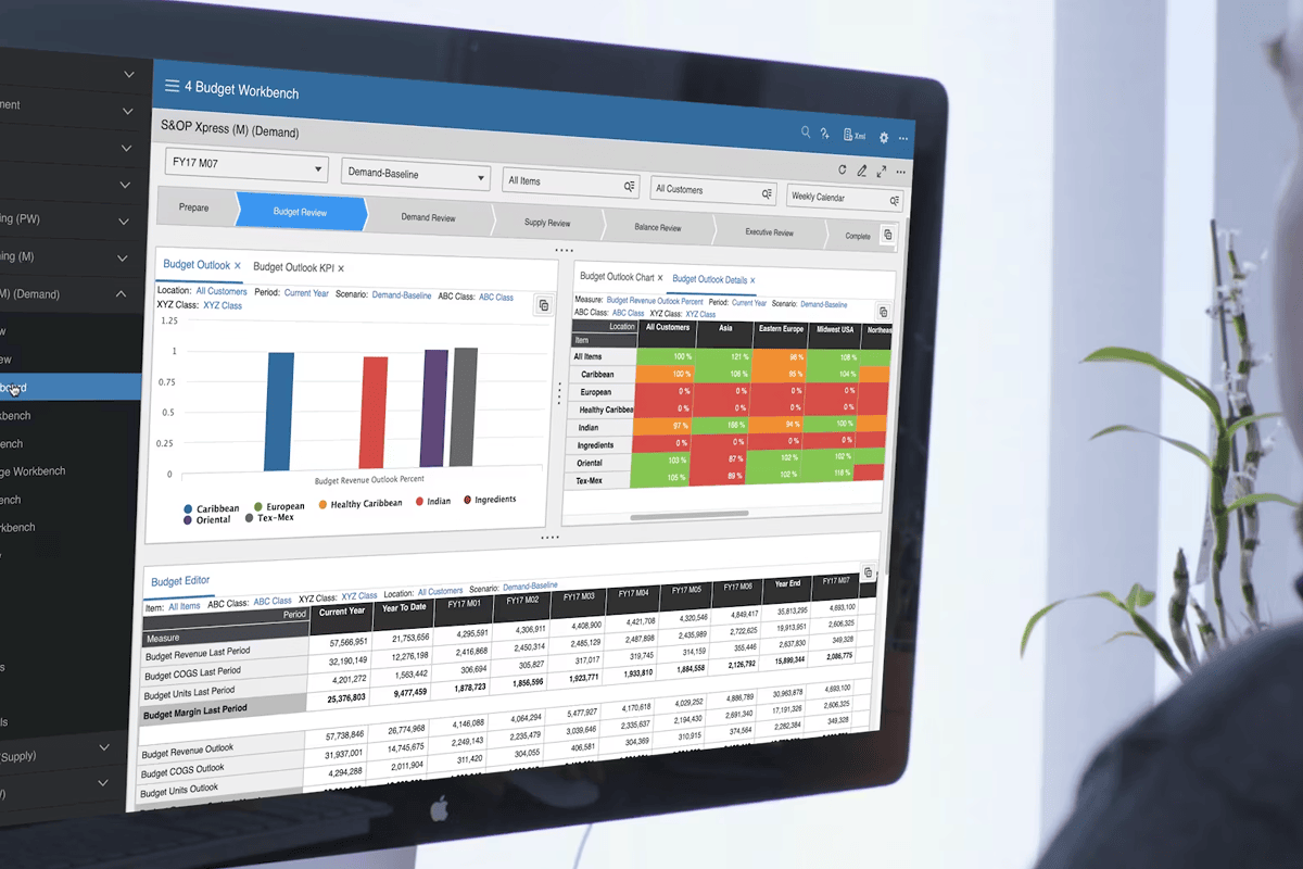 Infor Integrated Business Planning 演示 