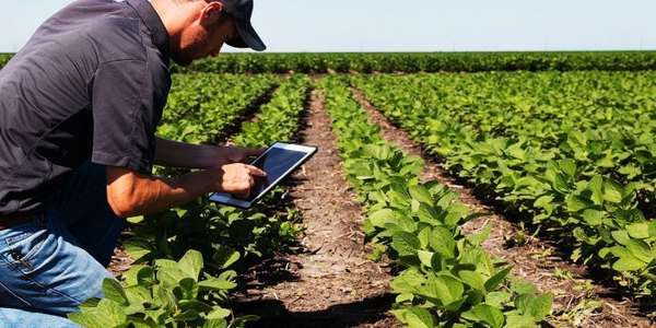 Farming tech tablet iStock 2023 02 10 132853 awdf